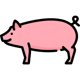 cerdo icono