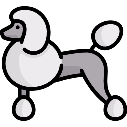 Poodle icon