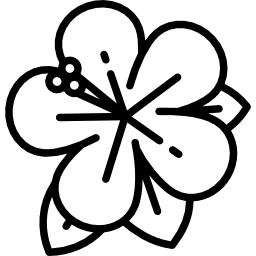 ibisco icona
