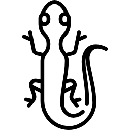 lagartija icono