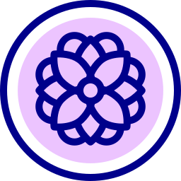 mandala icon