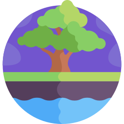 Tree icon