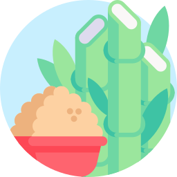 Sugar cane icon