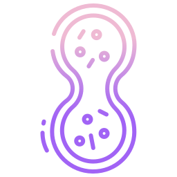 mitosis icono