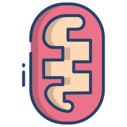 mitochondries Icône