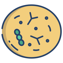 probióticos icono