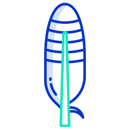 Feather icon