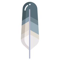 Feather icon