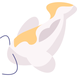 Koi fish icon