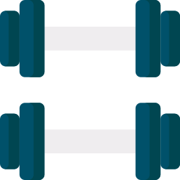 pesa icono