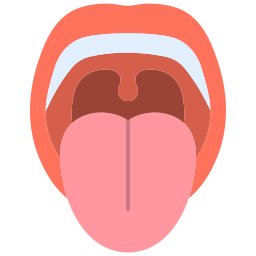 oral icono