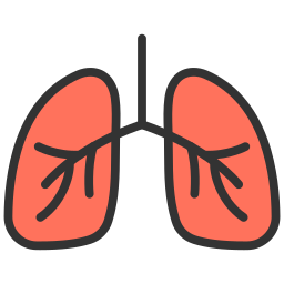 호흡기학 icon