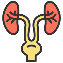 urologie icoon