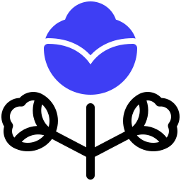 algodon organico icono