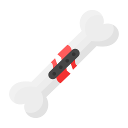 fracture Icône