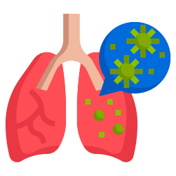 respiratoire Icône