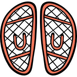 Snowshoes icon