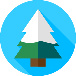 Pine icon