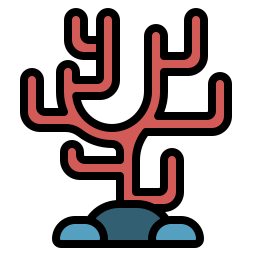 Coral icon