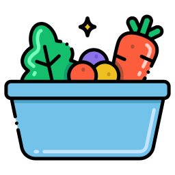 Healthy food icon