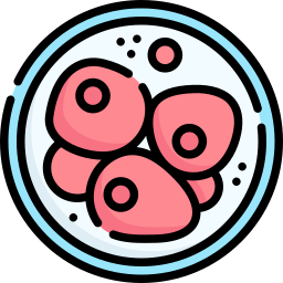 細胞 icon
