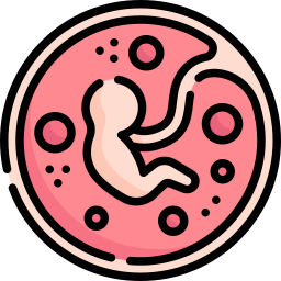 Fetus icon
