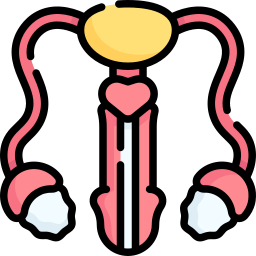 Reproductive system icon