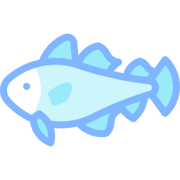 Codfish icon