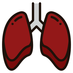 pulmão Ícone