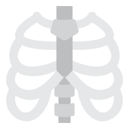 thorax icoon