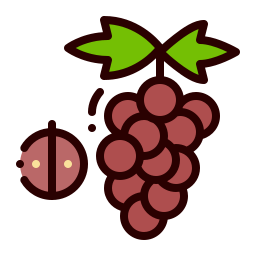 raisin Icône