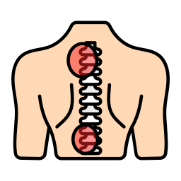 midollo spinale icona