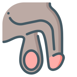urólogo icono
