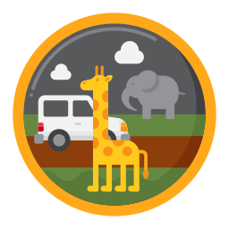 Safari icon