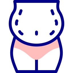 lichaamsvet icoon