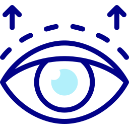 Eyelid icon