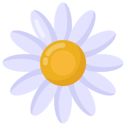 gänseblümchen icon