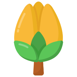 tulpe icon