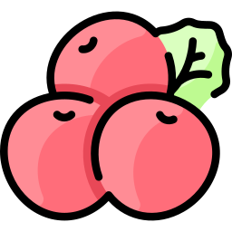 Berry icon