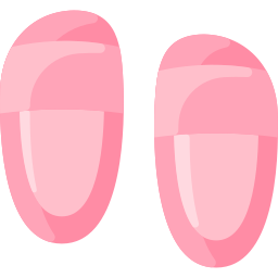 slipper icon