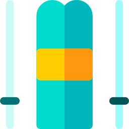 skii icon