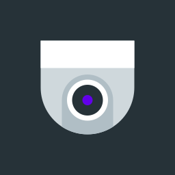 cctv icon