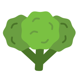 Broccoli icon