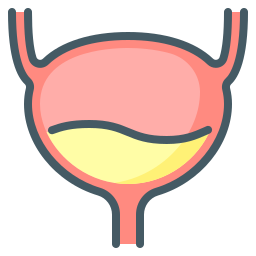 urologia Ícone