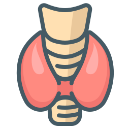 endocrinologue Icône