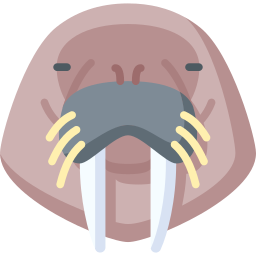 Walrus icon