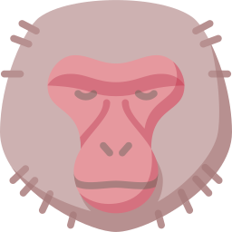 macaque des neiges Icône