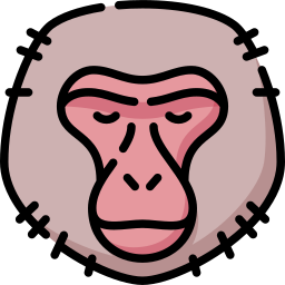 눈 원숭이 icon