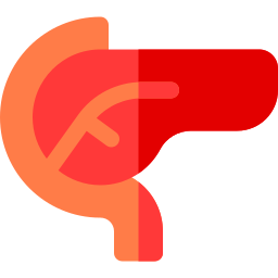 pankreas icon