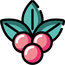 Mistletoe icon